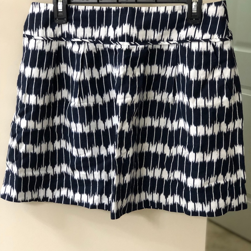 LOFT Skirt